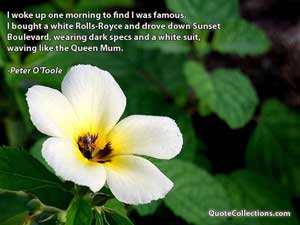 peter_o_toole_quotes Quotes 2